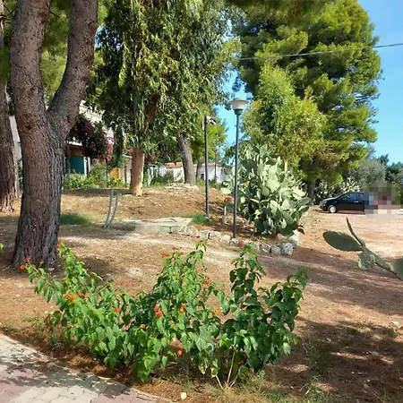 1 Bedroom Gorgeous In *